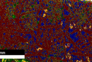 Microscopy Analysis: SEM/EDS/EBSD